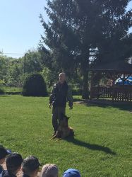 IMG-20240515-WA0012
